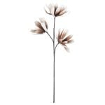 Eightmood Santiago skrautgrein L98 cm Mokka/hvít