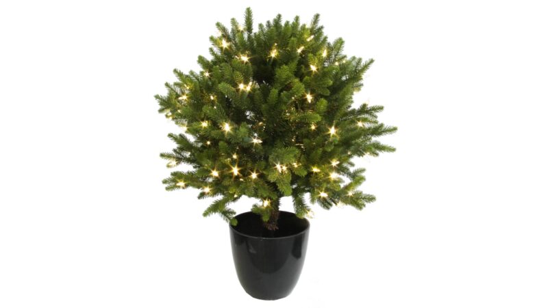 Shishi útijólatré í potti með LED ljósum H75 cm - Image 1