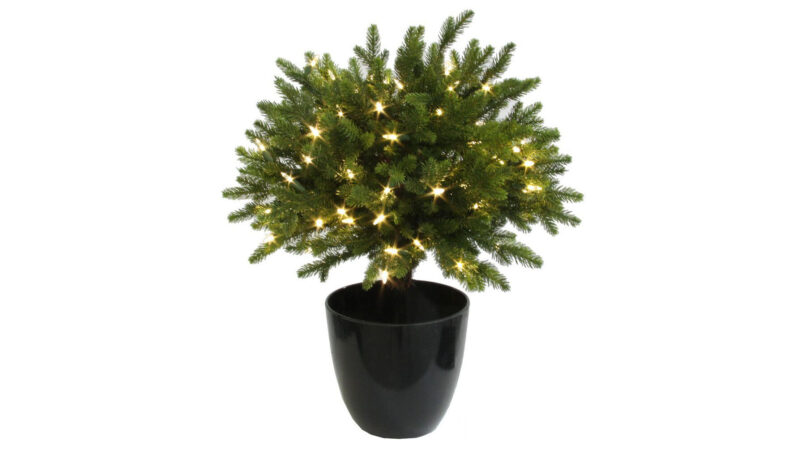 Shishi útijólatré í potti með LED ljósum H60 cm - Image 1
