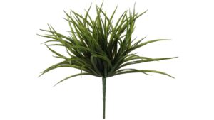 Shishi Grass 35cm