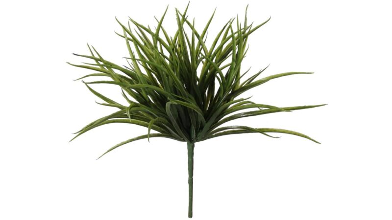 Shishi Grass 35cm