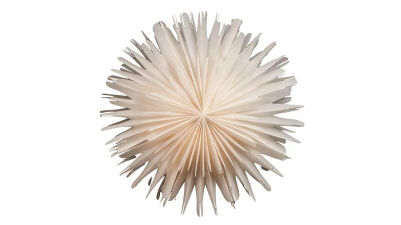 Decotrend Papier jólastjarna hvít 45cm - Image 1