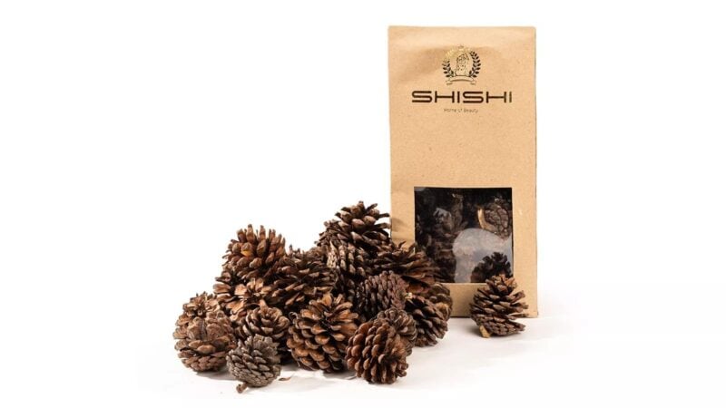 Shishi kassi með könglum 50stk - Image 1