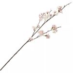 Shishi Cherry blossom grein