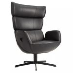 Turtle hægindastóll Fantasy svart - svart ál