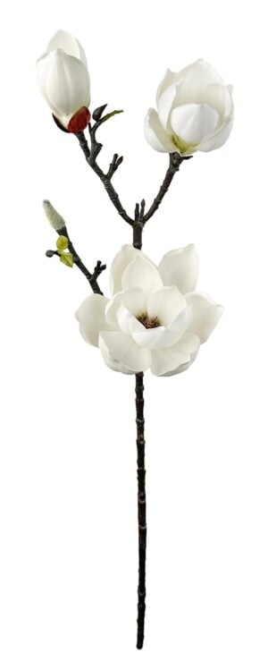 Shishi Magnolia grein 75cm