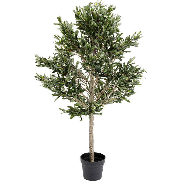 Kare Olive ólífutré 120cm 54933 Kare Olive ólífutré 120cm - Image 1