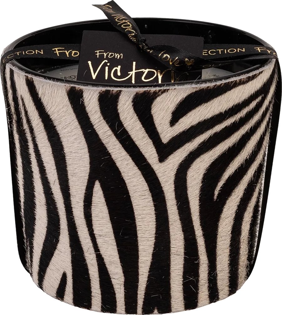 Victoria Hairy Zebra black ilmkerti S