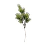 Shishi grenigrein 60cm