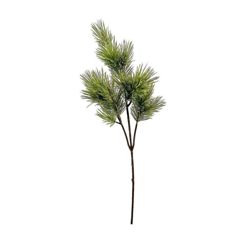 Shishi grenigrein 60cm - Image 1