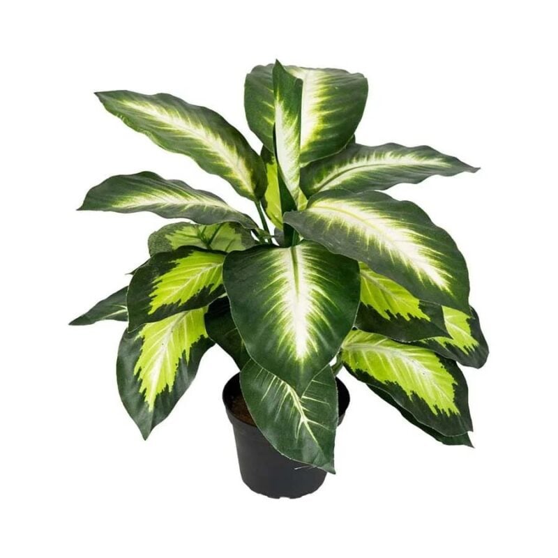 Mr Plant Köllubróðir H:40cm - Image 1