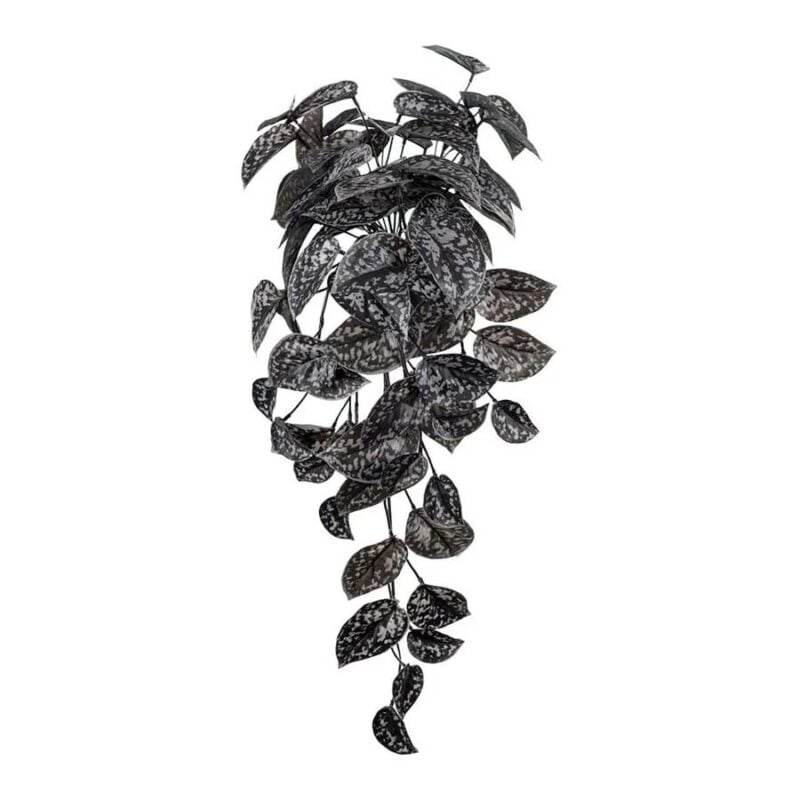 Mr Plant Scindapsus hangandi planta 50cm - Image 1