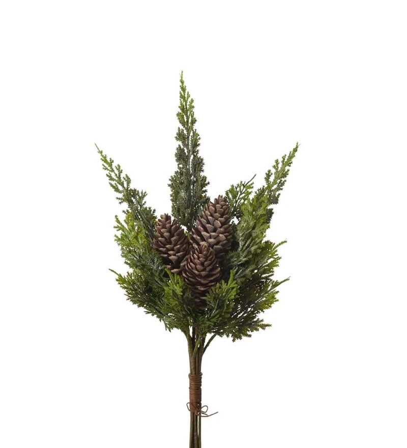 Mr Plant Cypress búnt H65cm - Image 1