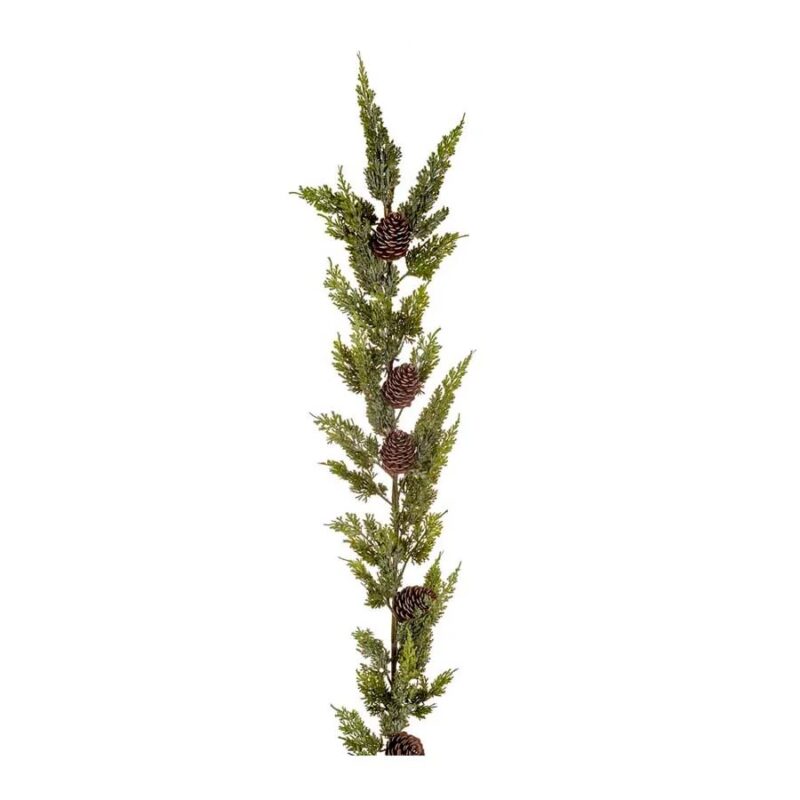 Mr Plant Cypress lengja 165cm - Image 1