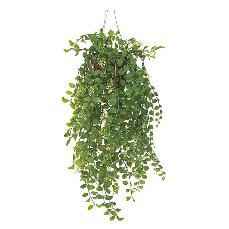 Mr Plant Pilea hangandi planta 52cm - Image 1