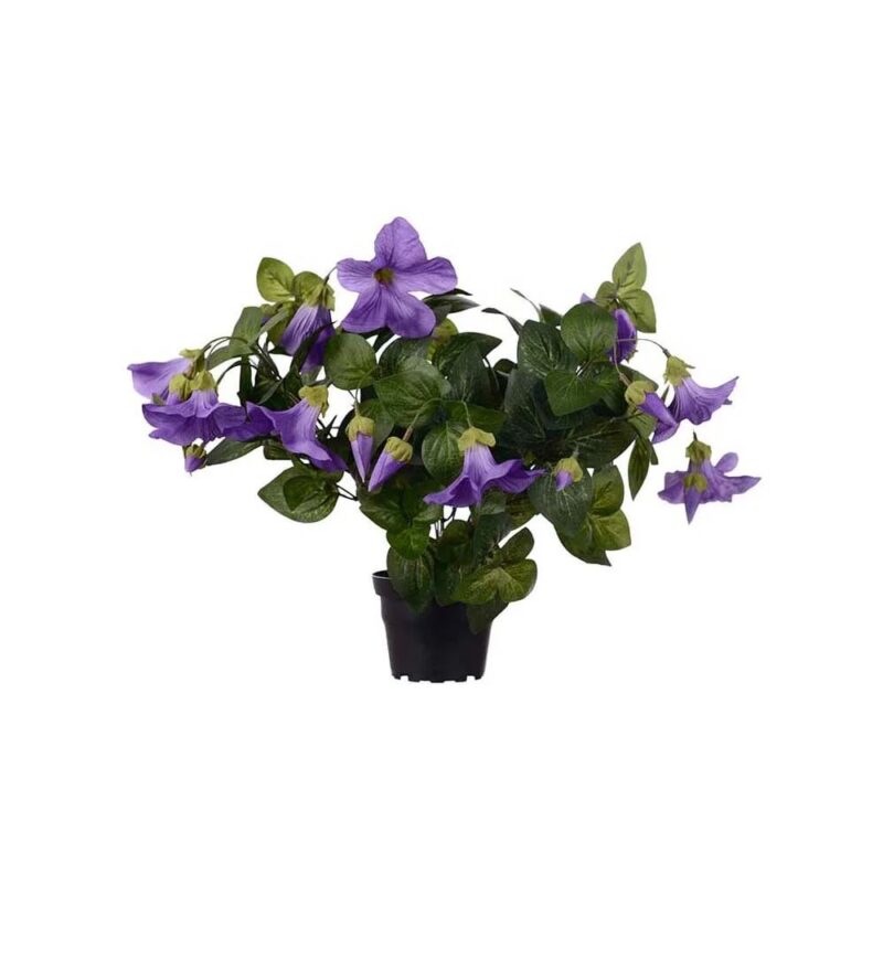 Mr Plant Petunia fjólublá 30cm - Image 1