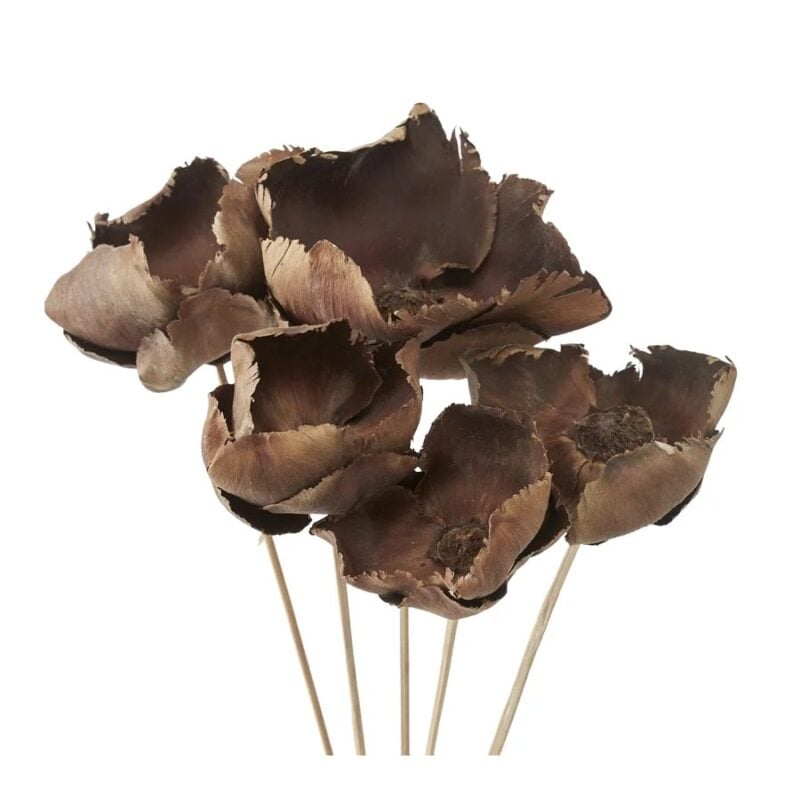 Jakobsdals Flore Palm skrautblóm 5stk - Image 1