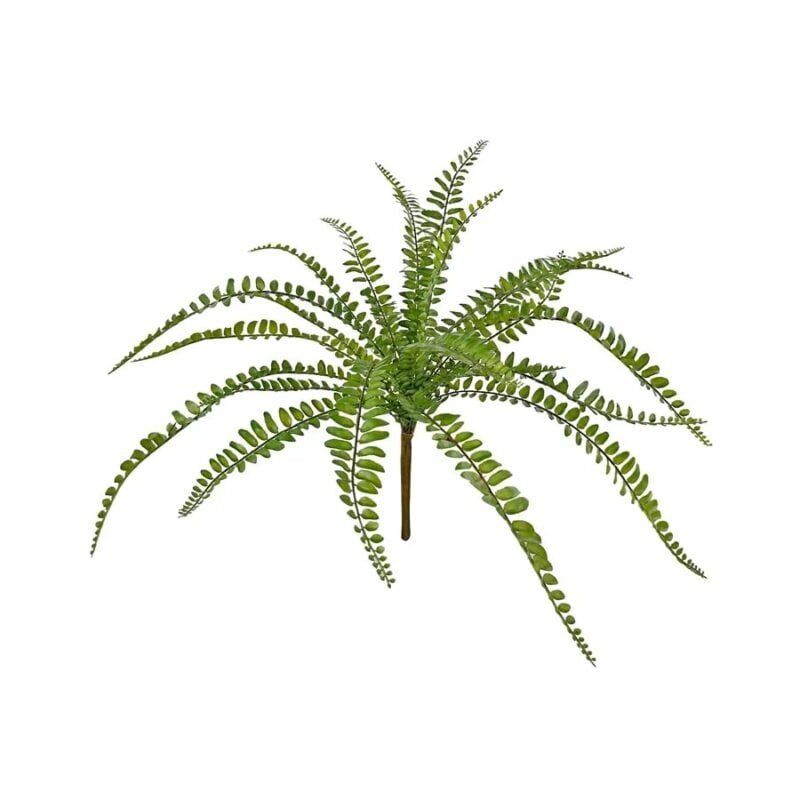Shishi Button fern grein 40cm - Image 1