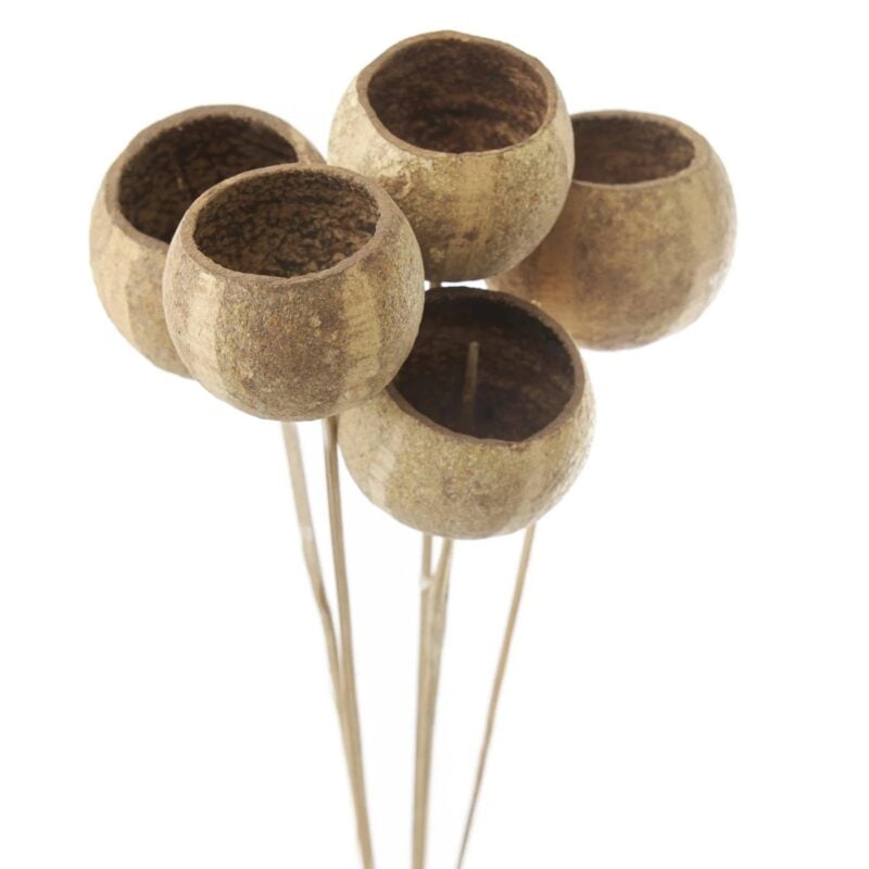 Jakobsdals Flore Bell skrautblóm 5stk - Image 1