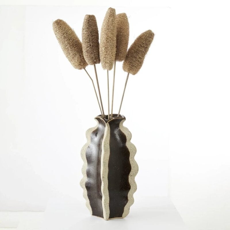 Jakobsdals Flore Luffa skrautblóm 5stk - Image 3