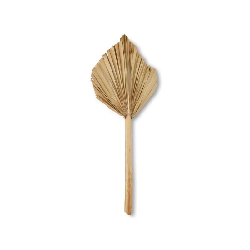 Jakobsdals Flore Palm spear skrautblóm - Image 1