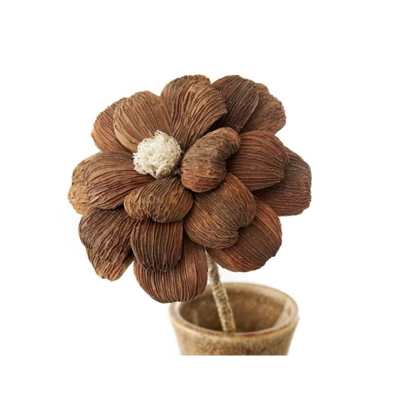 Jakobsdals Flore Fresia brúnt skrautblóm - Image 1