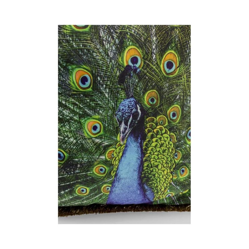 Kare Peacock púði 45x45 - Image 3
