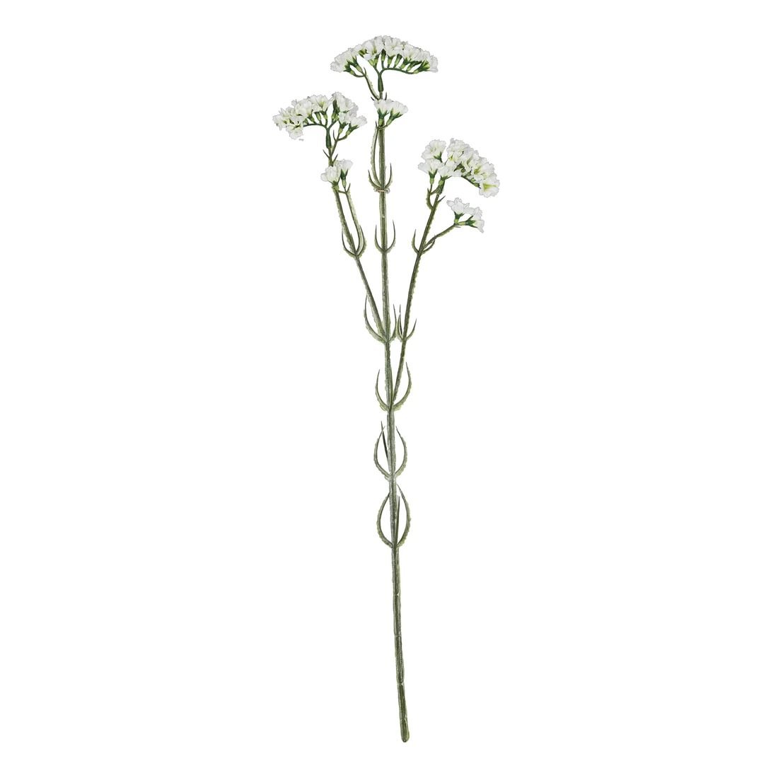 400ac6f4-2e0f-495d-8f21-f7ec2e7c40ea.jpg Gasper grein með hvítum blómum - Image 1