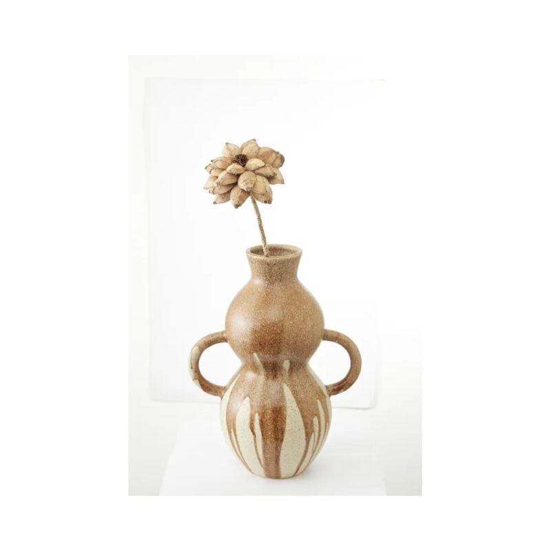 Jakobsdals Flore Iris beige skrautblóm - Image 2