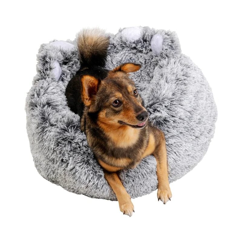 Kare Paw hunda / kattabæli - Image 2