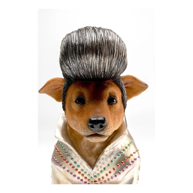 Kare King dog sparibaukur - Image 7