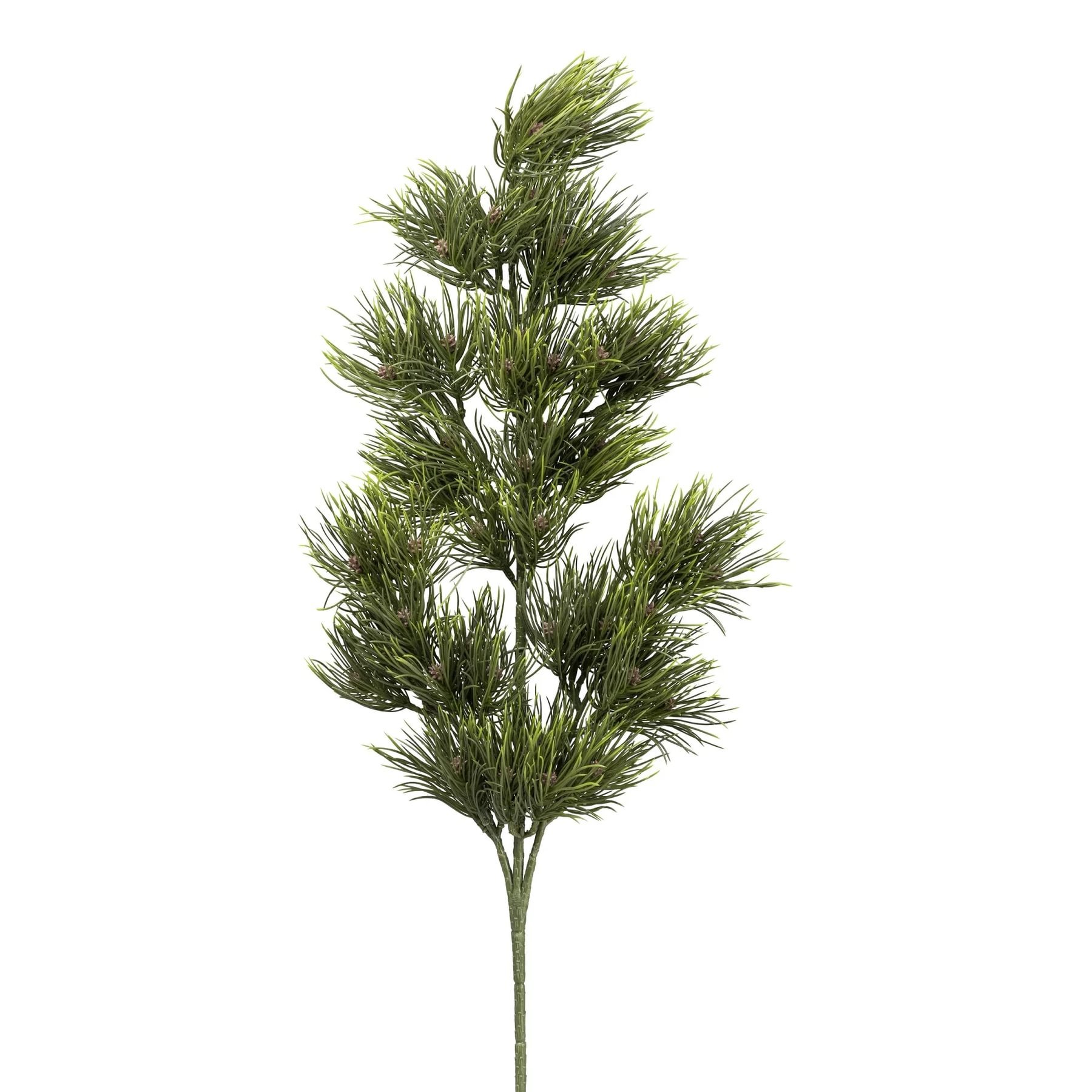 06929357-df85-4a1f-a0e2-5a4802340038.jpg Gasper grenigrein 84cm - Image 1