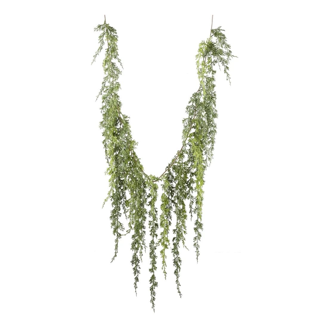 8a9e306f-5308-42e5-b412-d728b9cd2c51.jpg Gasper Conifer skrautlengja - Image 1