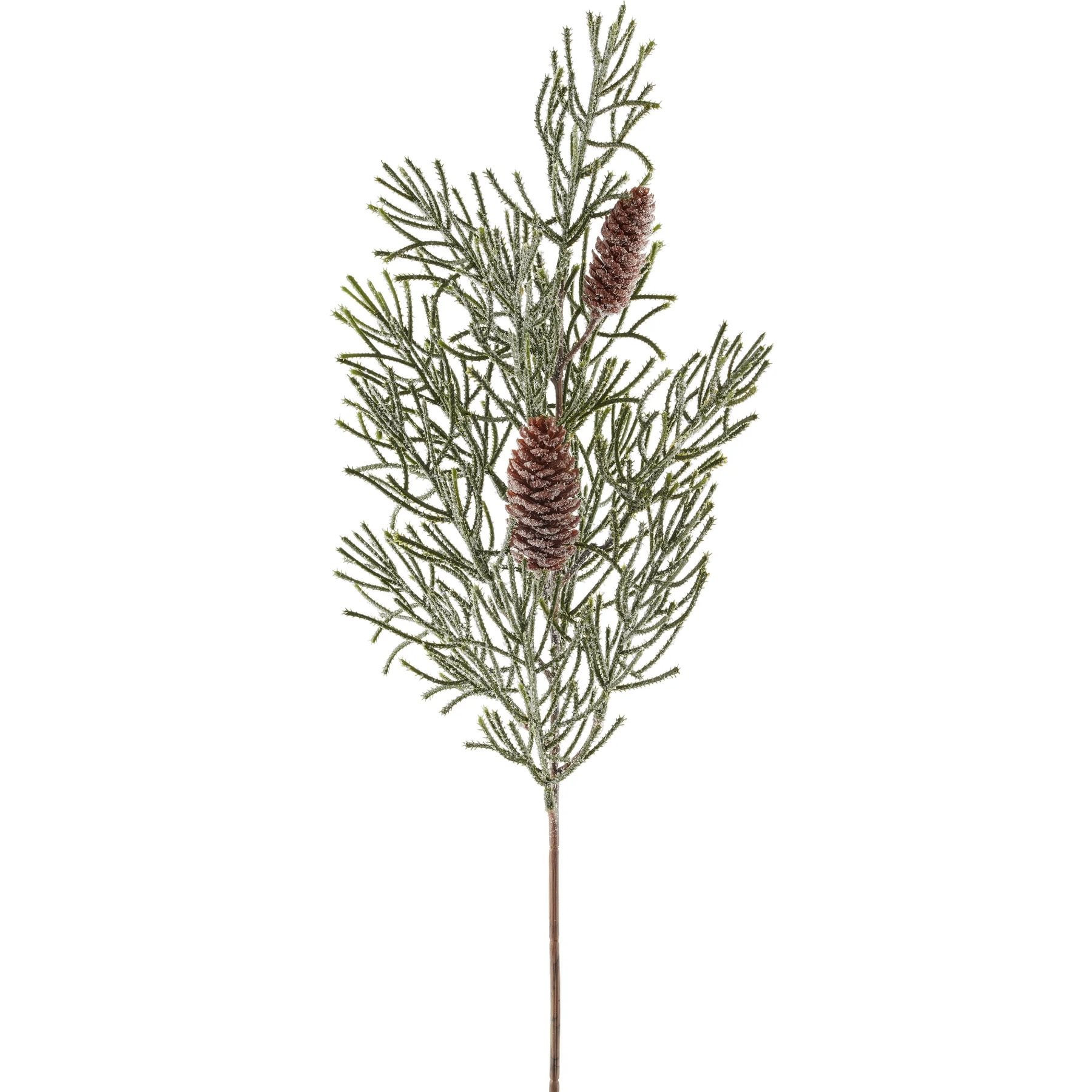 a8968933-8773-4c01-adac-f653a14dc85c.jpg Gasper Pine grenigrein með ísuðum könglum - Image 1