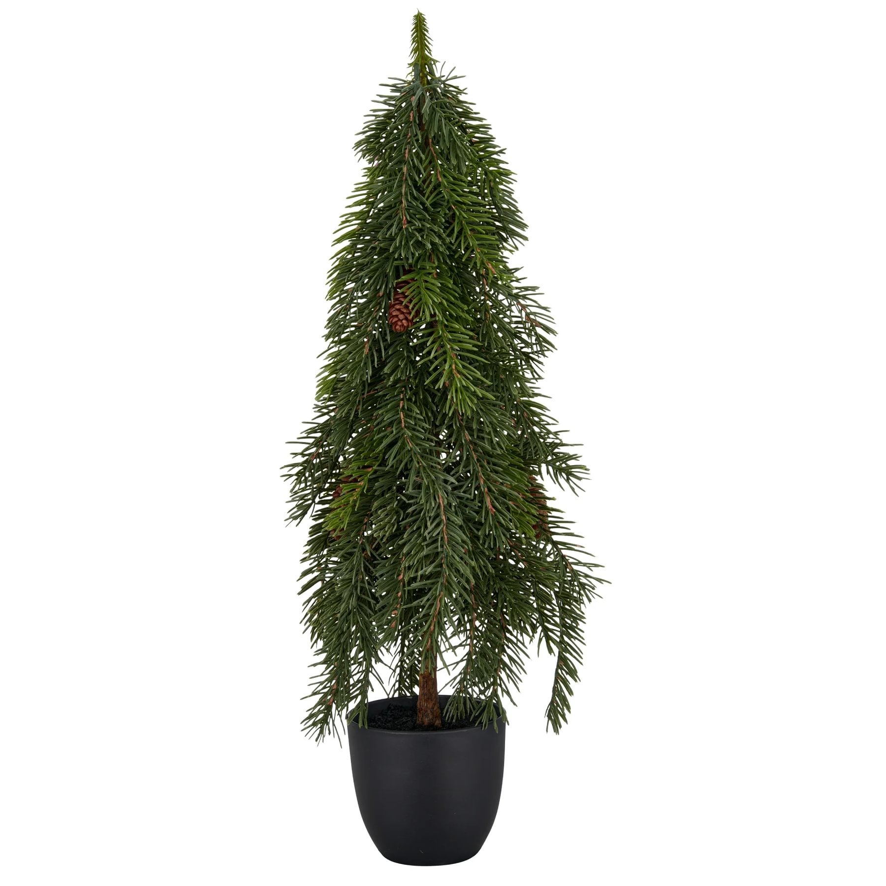 c940f559-f111-4d4b-9377-c57af03f9674.jpg Gasper Nordmann grenitré í potti 60cm - Image 1