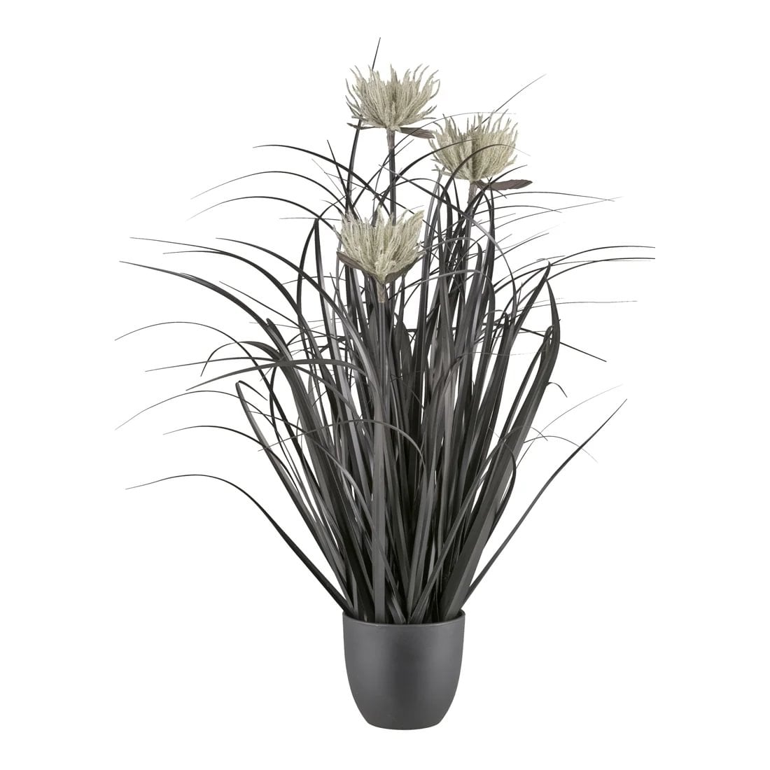 5435aa46-bd8b-4114-83cb-be7183619c72.jpg Gasper Grass burkni 63cmm - Image 1