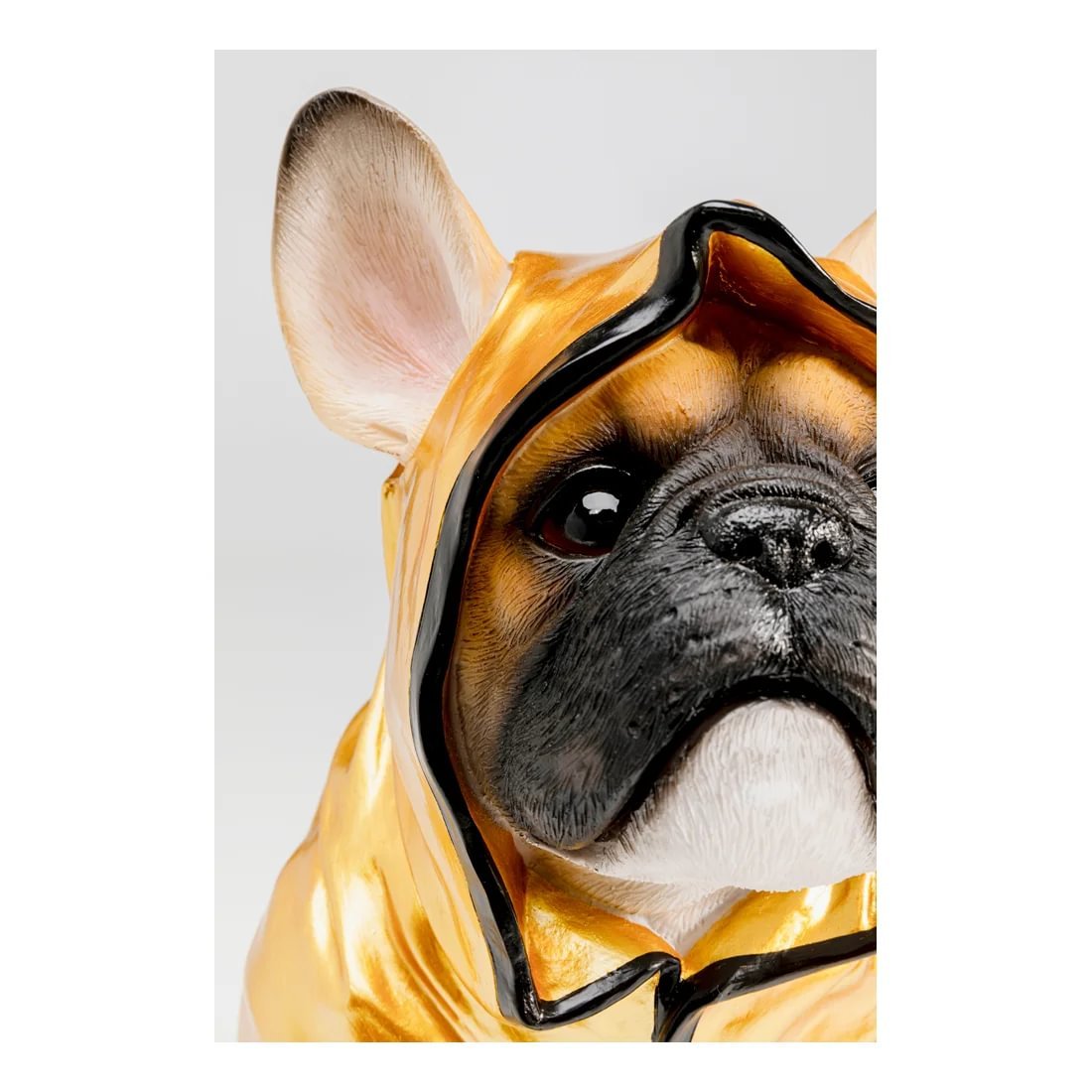 b1e0633e-2dab-45ba-80e9-fa31e6009033.jpg Kare Boxing dog sparibaukur - Image 6