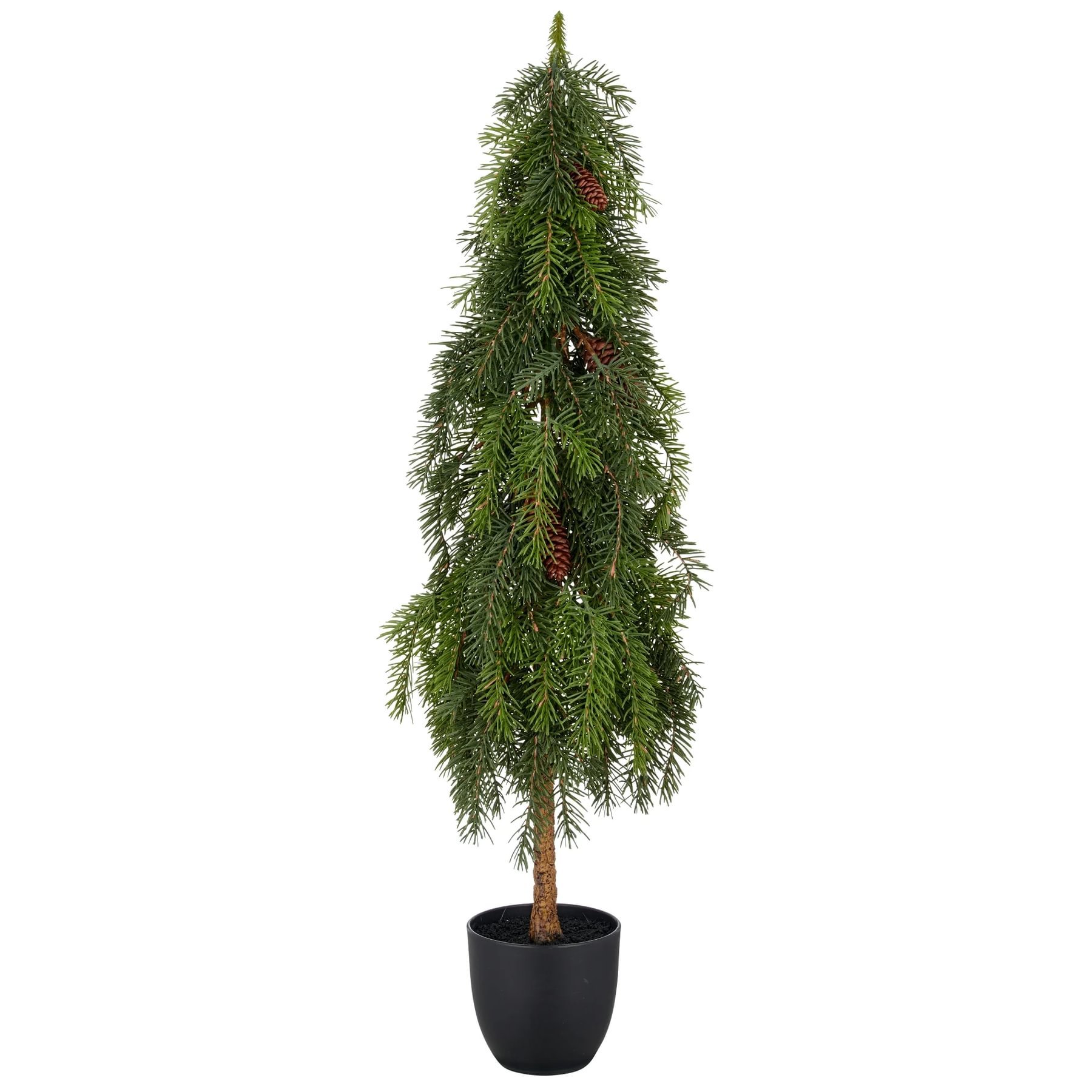 def1bb2f-623b-4abe-8976-d50db45ef528.jpg Gasper Nordmann grenitré 94cm - Image 1