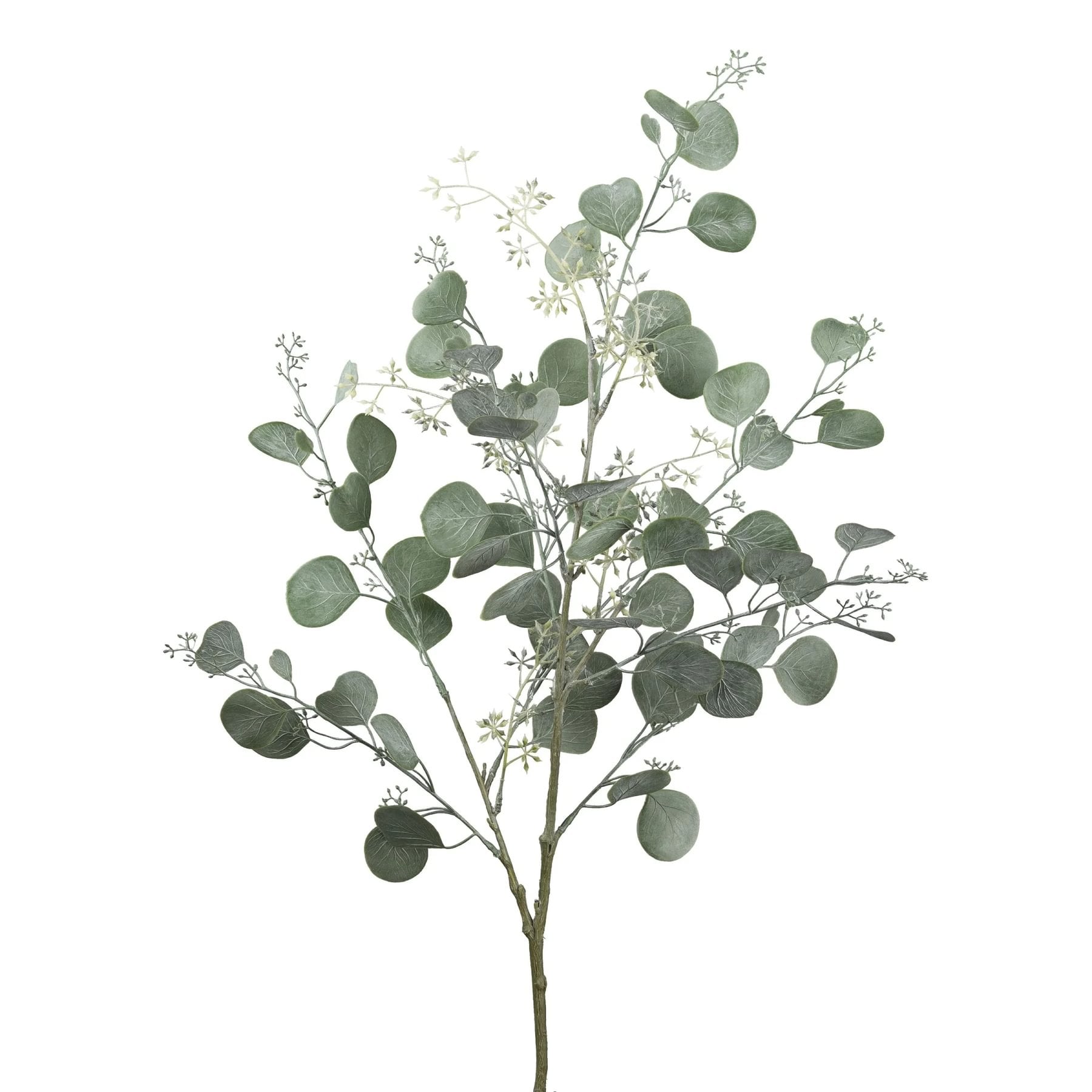 5f0983f9-a9d4-40fc-933b-264e6135a8ea.jpg Gasper Eucalyptus grein - Image 1