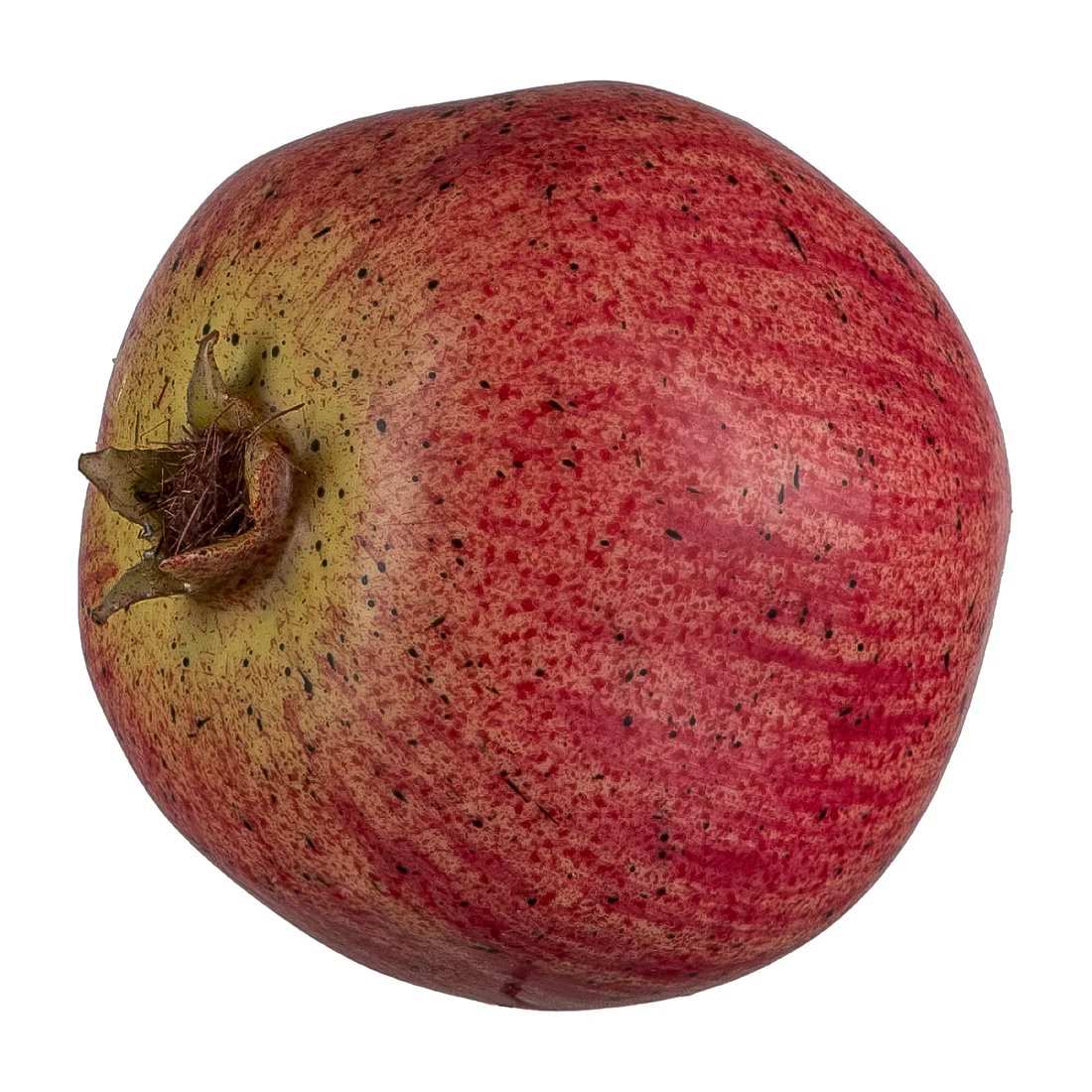 39a6f2cd-7881-4df9-bed4-35172ae93d92.jpg Gasper granatepli 8x8cm - Image 1