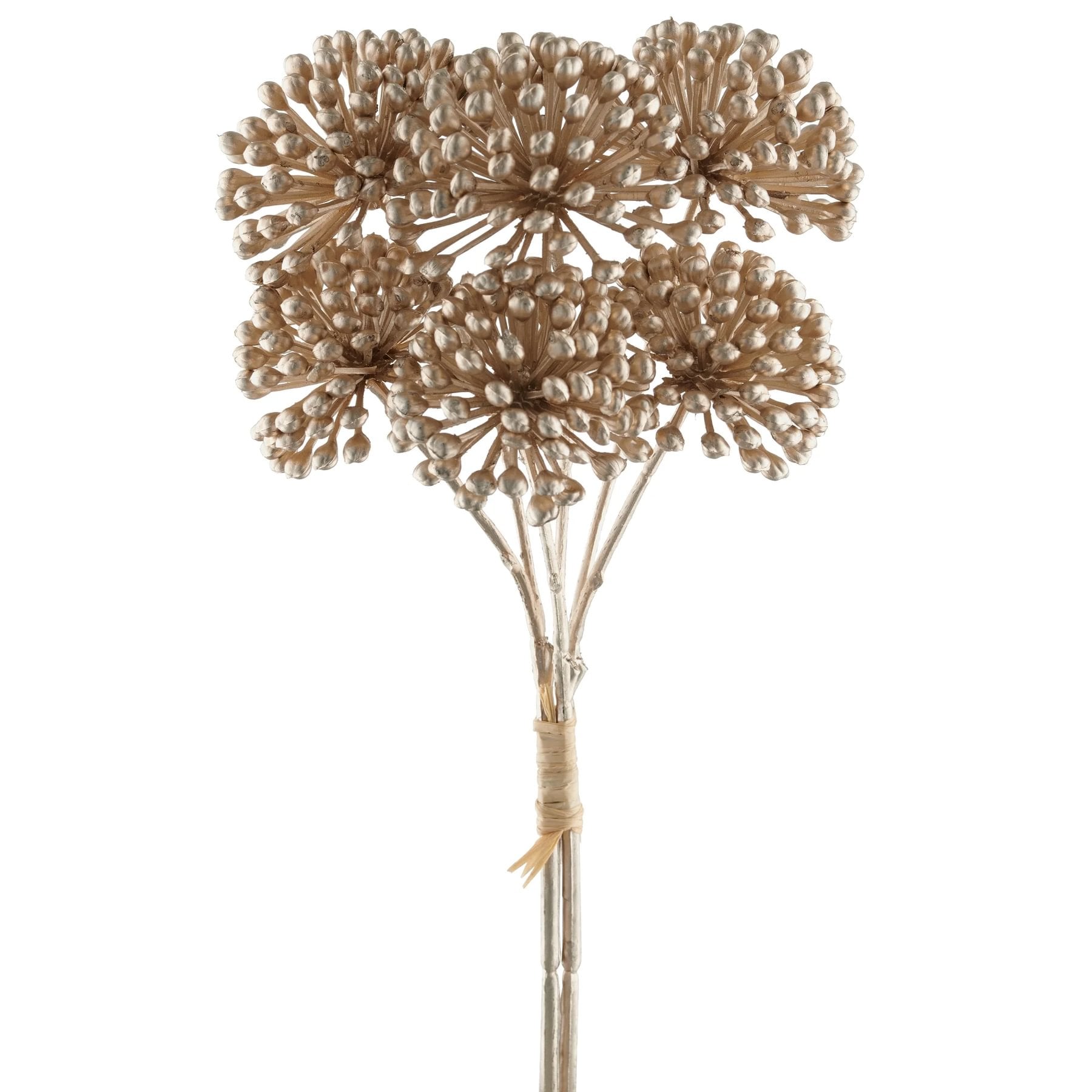 9e1928e5-4b70-4a0a-afea-0772a274507b.jpg Gasper grein með gylltum blómum - Image 1